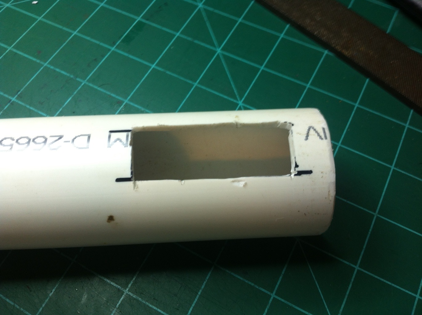 20130101-022441.jpg